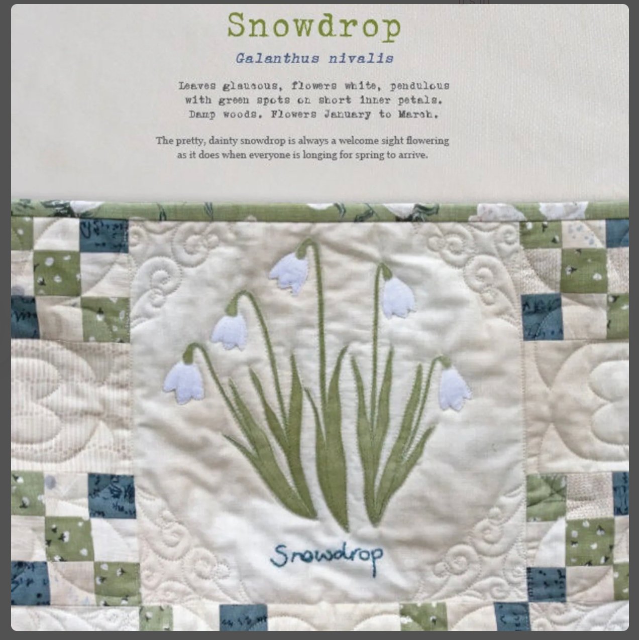 Wildflowers book by Janet Clare