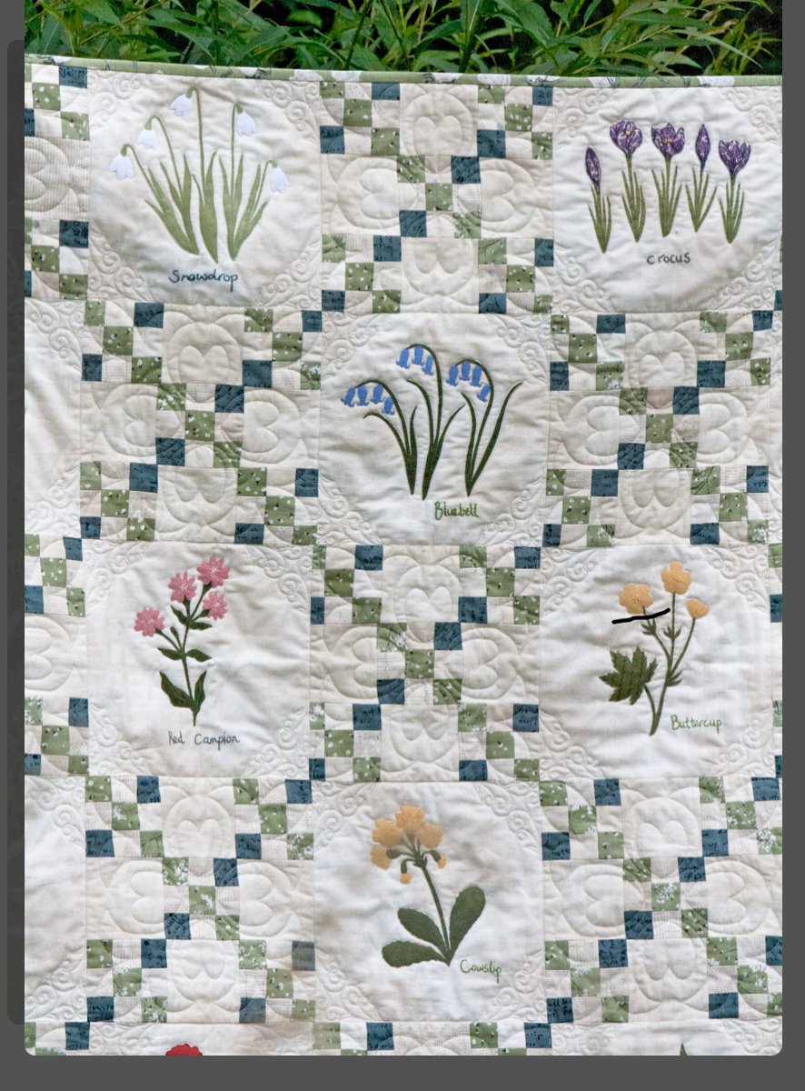 Wildflowers book by Janet Clare
