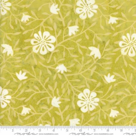 Longitude Citrine Flowers Fat 1/4