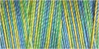 Gutermann 30 Variegated Thread 300m – 4120