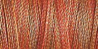 Gutermann 30 Variegated Thread 300m – 4010