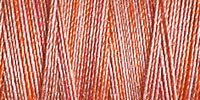 Gutermann 30 Variegated Thread 300m – 4029