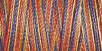 Gutermann Variegated Cotton 12. 200m – 4108
