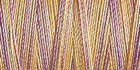 Gutermann 30 Variegated Thread 300m – 4103