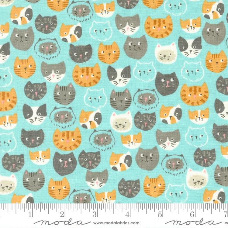 Here Kitty Kitty – Cats on Aqua Fat 1/4