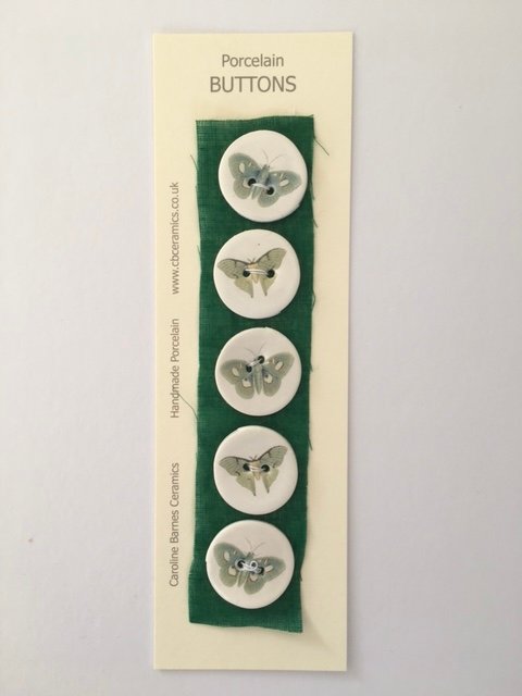 Green butterflies & Moths Ceramic Button Set